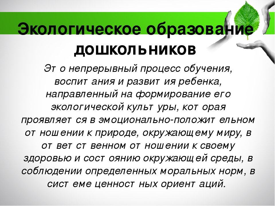 Содержание экологического воспитания дошкольников