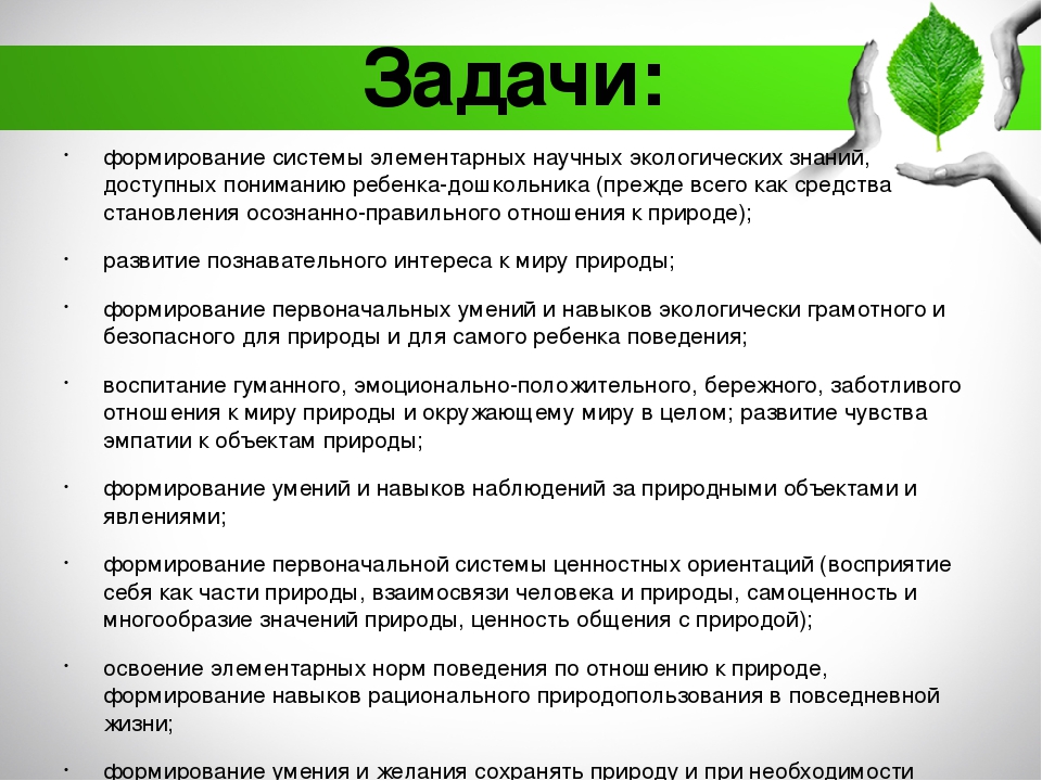 Содержание экологического воспитания дошкольников