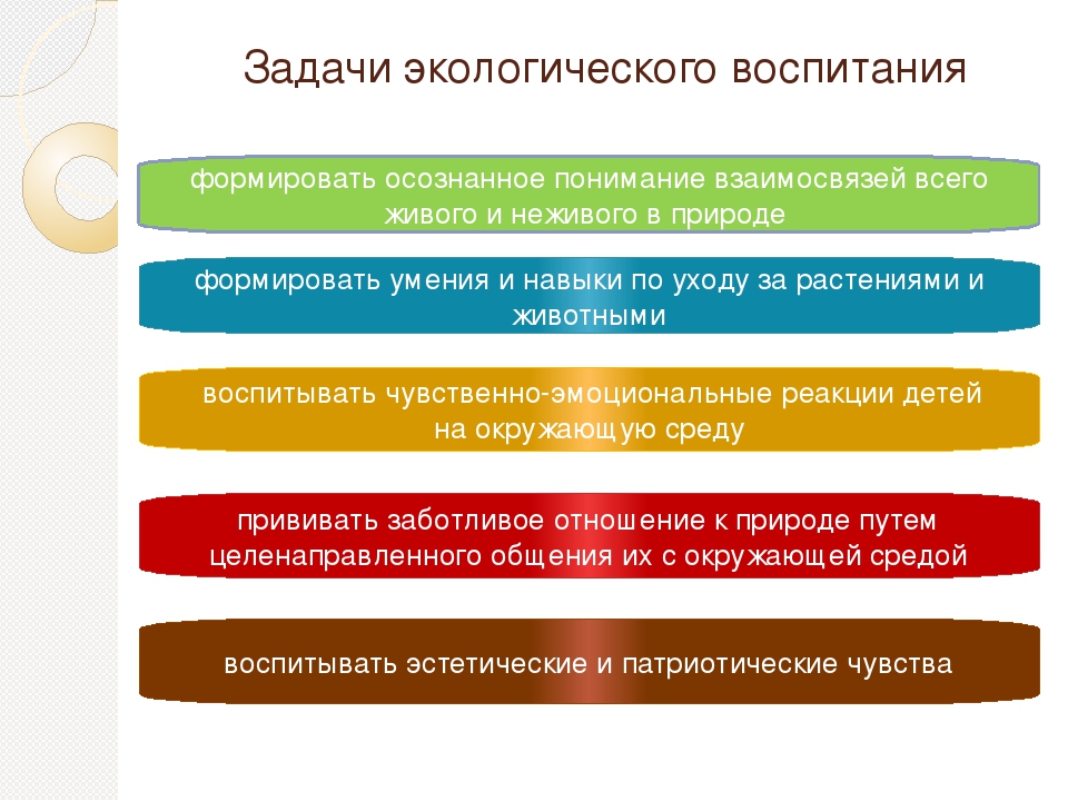 Консультация на тему: “Инновационные технологии экологического воспитания посредством развивающей предметно - пространственной среды в условиях реализации ФГОС ДО .”