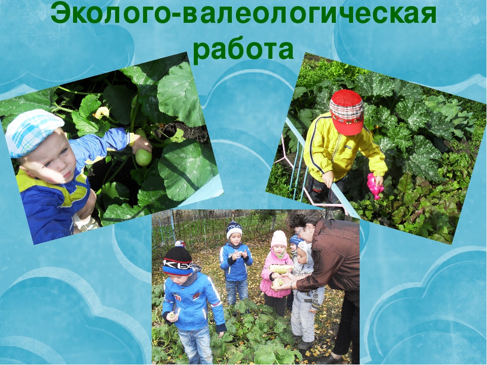 Проектная деятельность в детском саду.