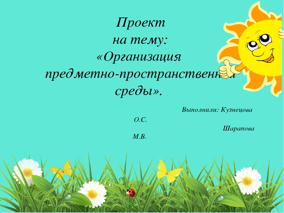 Проект "Предметно-развивающая среда на участке детского сада"
