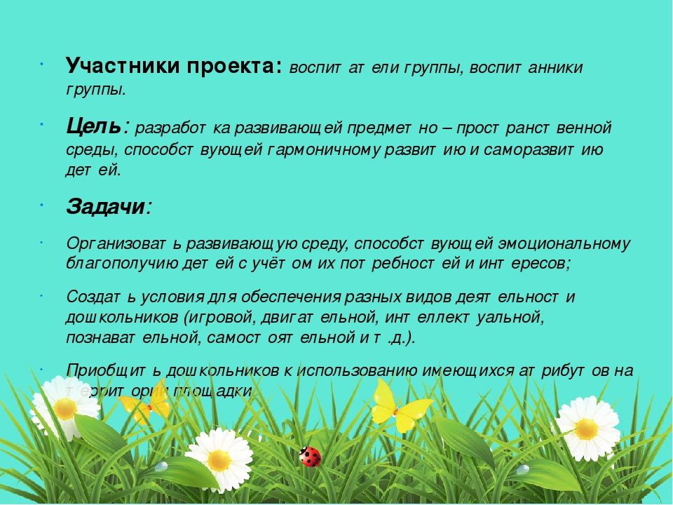 Проект "Предметно-развивающая среда на участке детского сада"