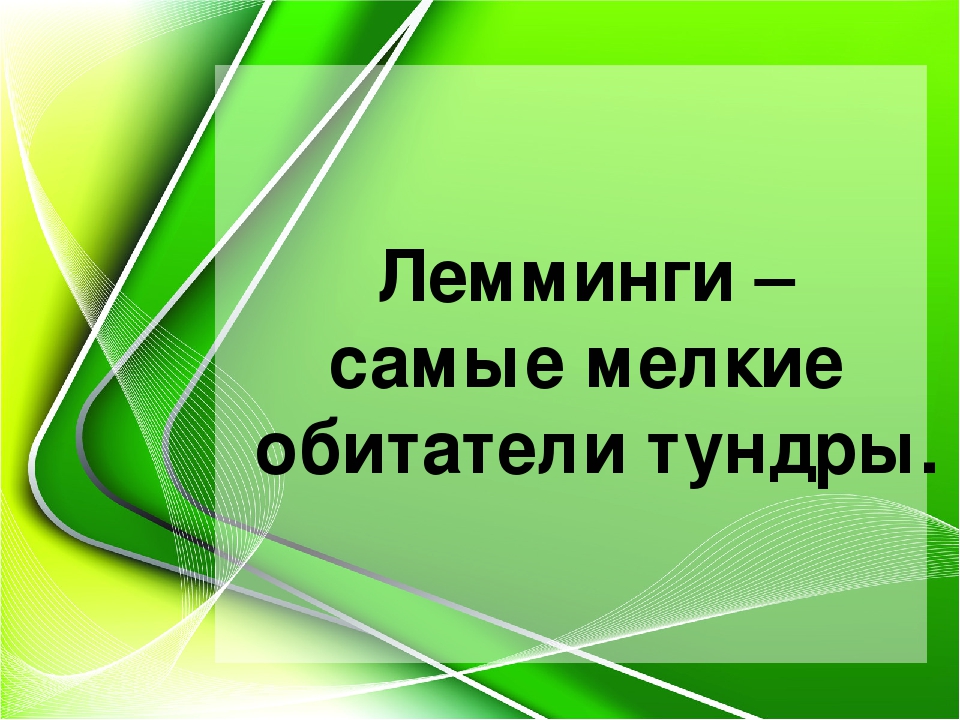 Презентация к НОД по познавательному развитию "Лемминги - самые мелкие обитатели тундры"