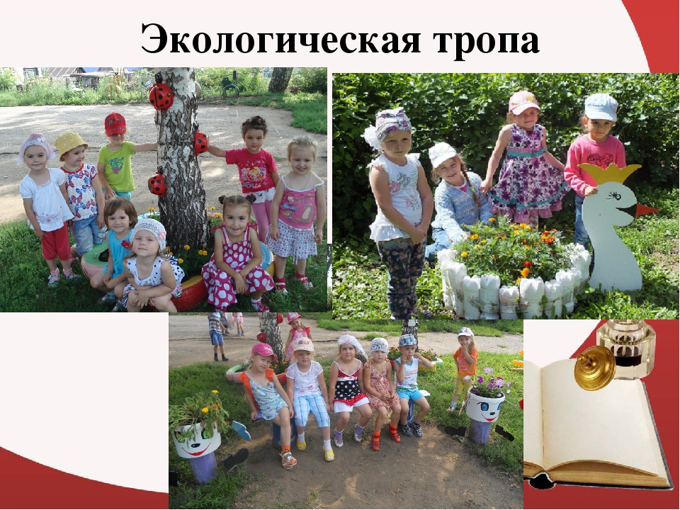 Презентация "МБДОУ "Детский сад "Радуга"