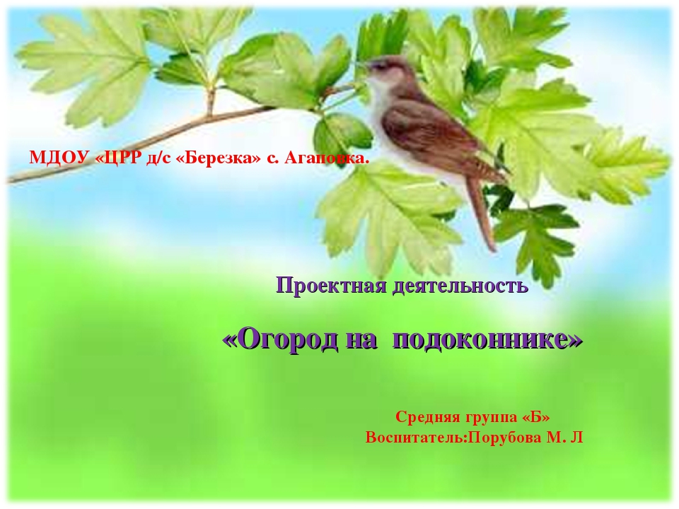 Проект "Огород на подоконнике"