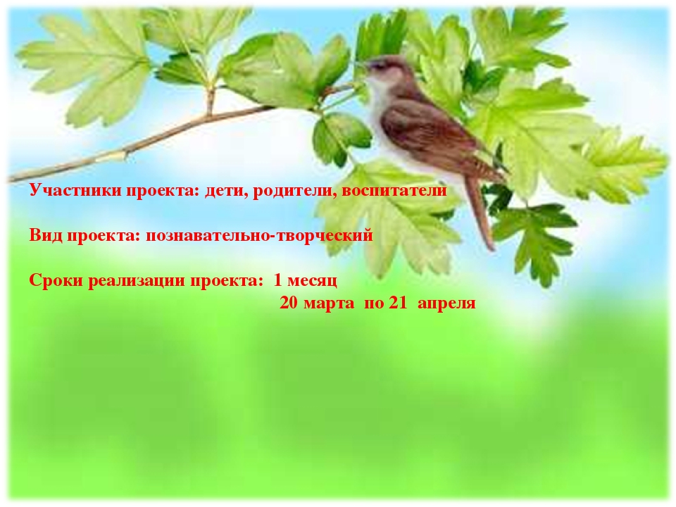 Проект "Огород на подоконнике"