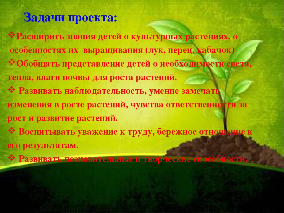 Проект "Огород на подоконнике"