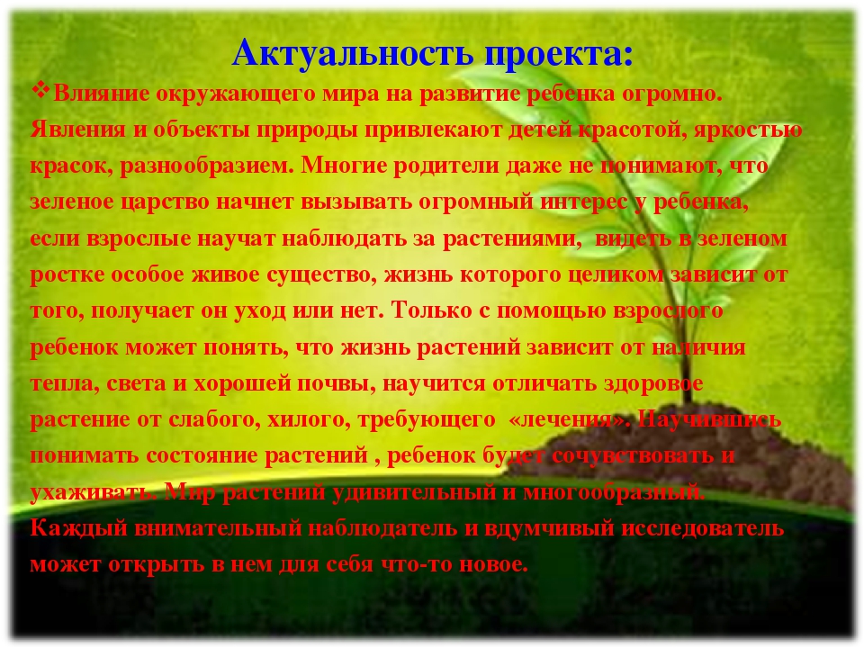 Проект "Огород на подоконнике"