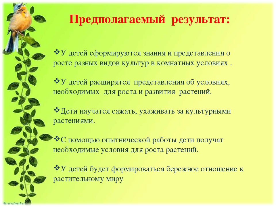 Проект "Огород на подоконнике"