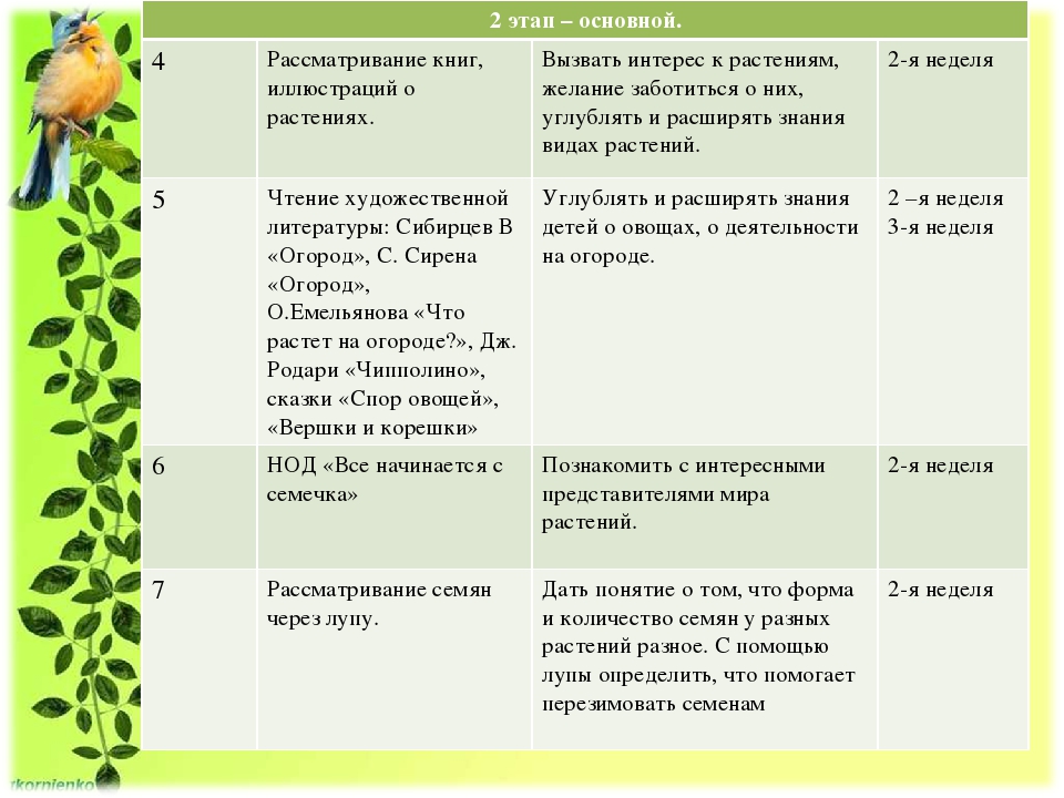 Проект "Огород на подоконнике"