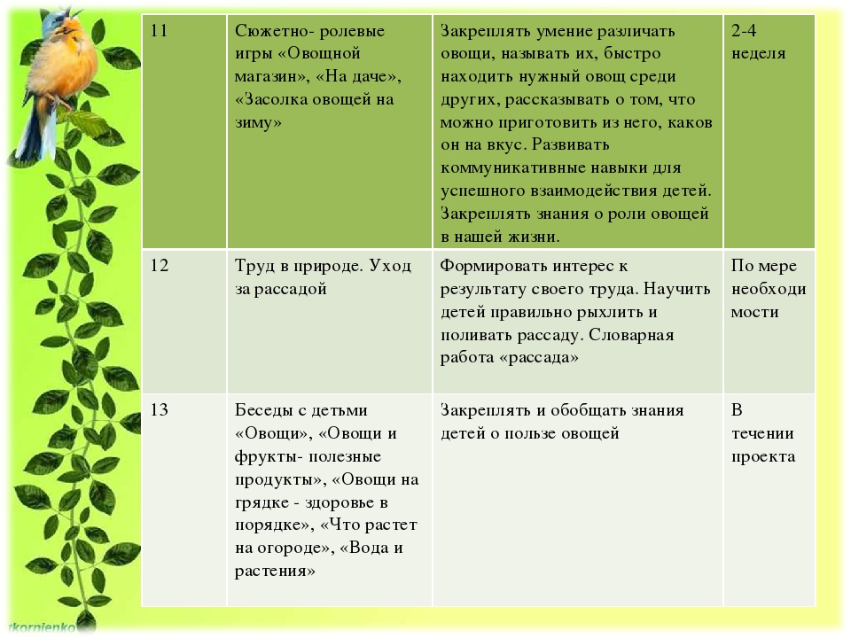 Проект "Огород на подоконнике"