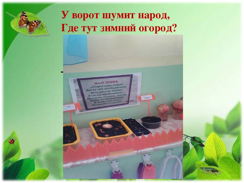 Проект "Огород на подоконнике"