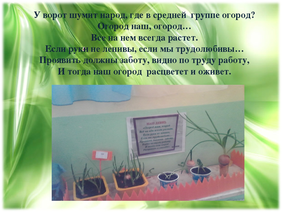 Проект "Огород на подоконнике"