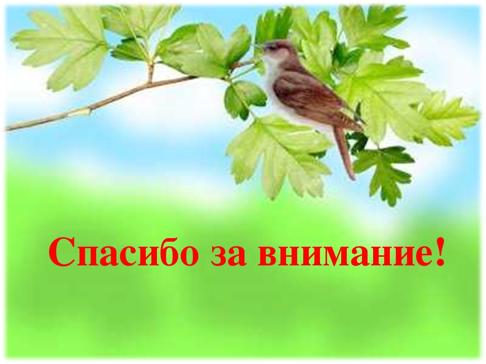 Проект "Огород на подоконнике"