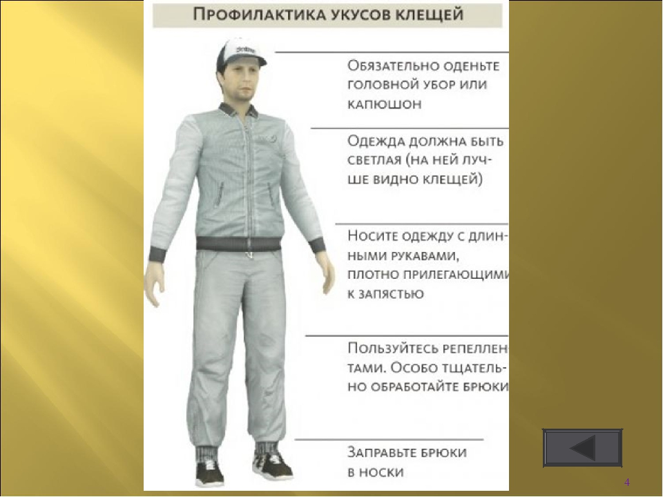 Интерактивная игра " Викторина по безопасности в лесу"