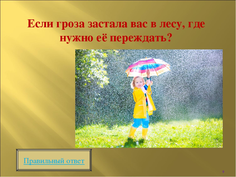 Интерактивная игра " Викторина по безопасности в лесу"