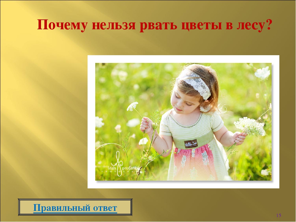 Интерактивная игра " Викторина по безопасности в лесу"