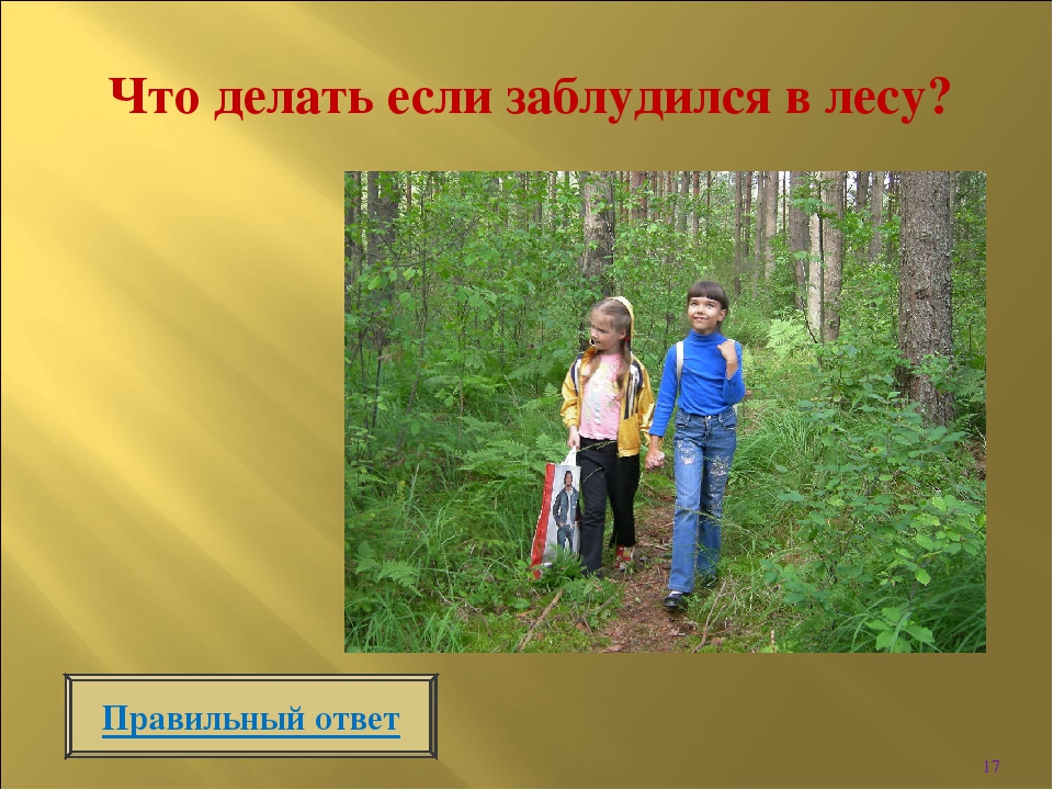 Интерактивная игра " Викторина по безопасности в лесу"