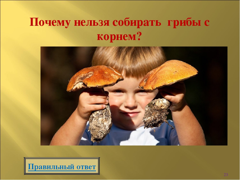 Интерактивная игра " Викторина по безопасности в лесу"
