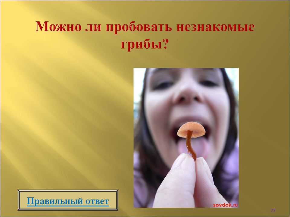 Интерактивная игра " Викторина по безопасности в лесу"