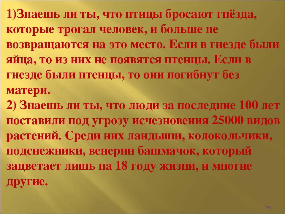 Интерактивная игра " Викторина по безопасности в лесу"