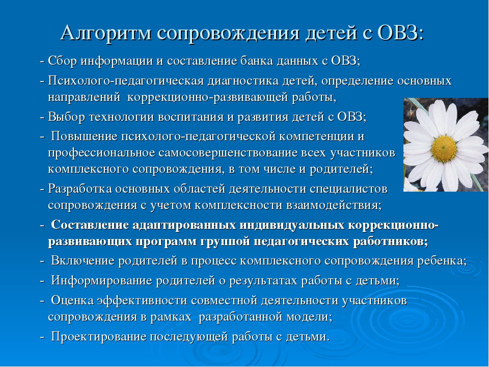 Сопровождение овз. Алгоритм работы с ребенком ОВЗ. Алгоритм сопровождения детей с ОВЗ. Алгоритм работы по сопровождению семьи воспитывающей ребенка с ОВЗ. Алгоритм работы с ОВЗ В школе.