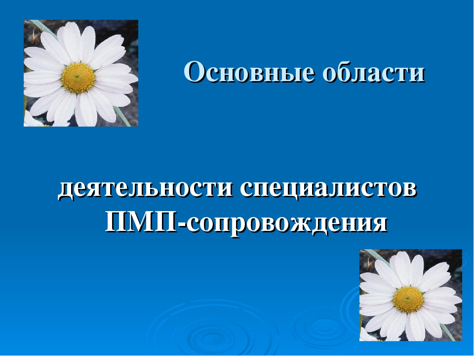 Презентация на тему: "Алгоритм взаимодействия специалистов при сопровождении ребенка с тяжелыми речевыми нарушениями в условиях инклюзивного образования в ДОУ.