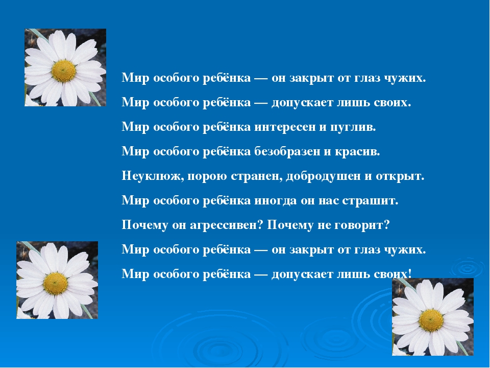 Презентация на тему: "Алгоритм взаимодействия специалистов при сопровождении ребенка с тяжелыми речевыми нарушениями в условиях инклюзивного образования в ДОУ.