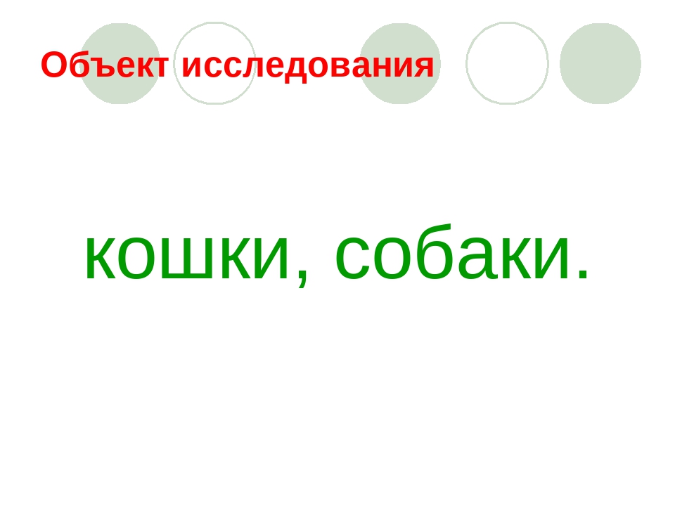 Презентация по окружающему миру на тему:"Наши братья меньшие"