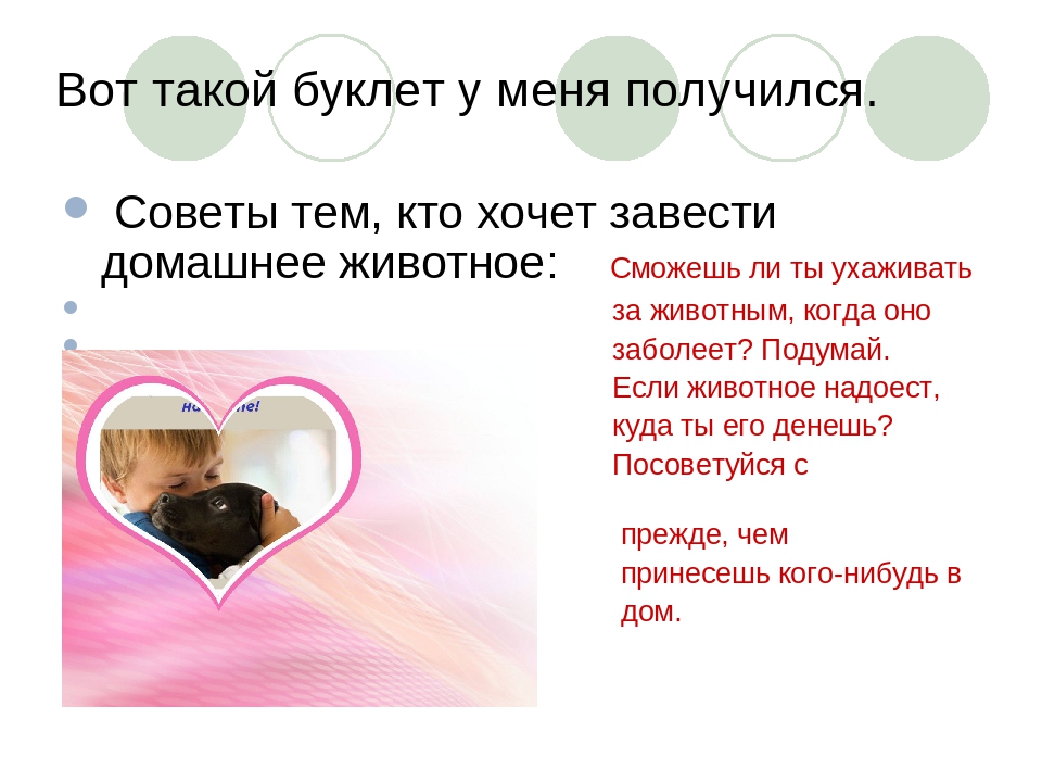 Презентация по окружающему миру на тему:"Наши братья меньшие"