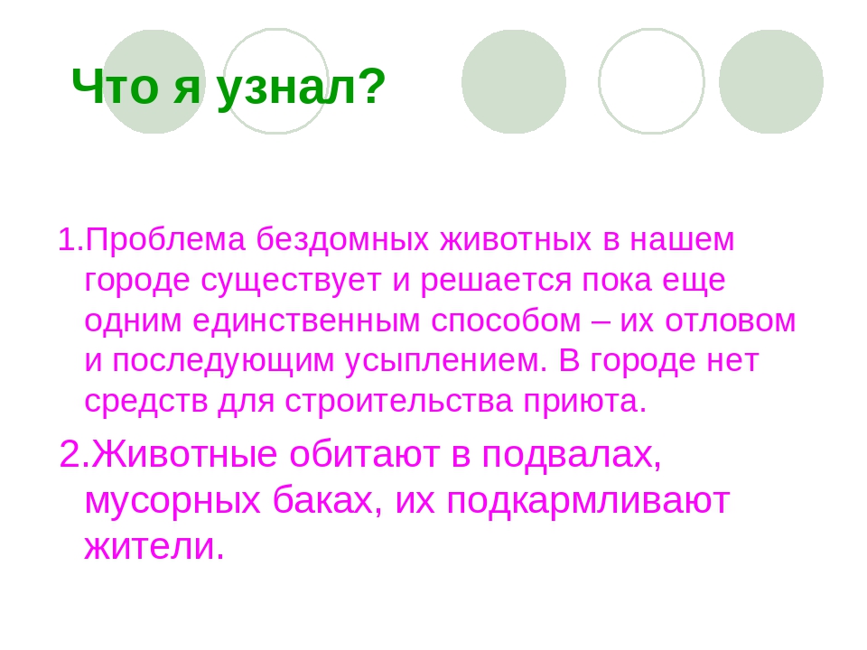 Презентация по окружающему миру на тему:"Наши братья меньшие"
