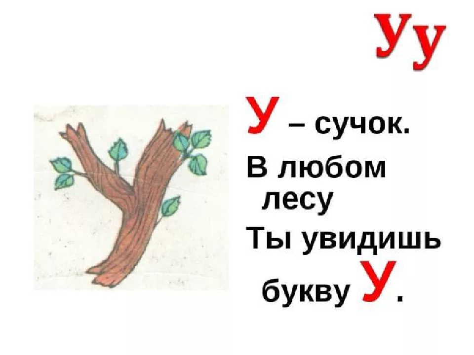 Презентация. Учим буквы. Буква У.