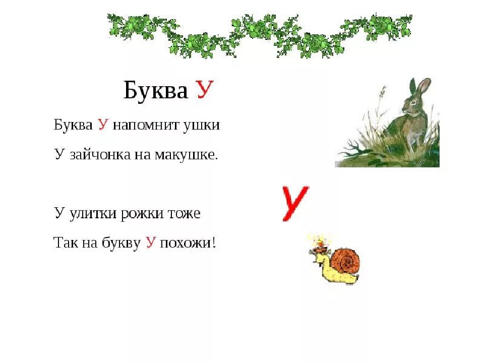 Презентация. Учим буквы. Буква У.