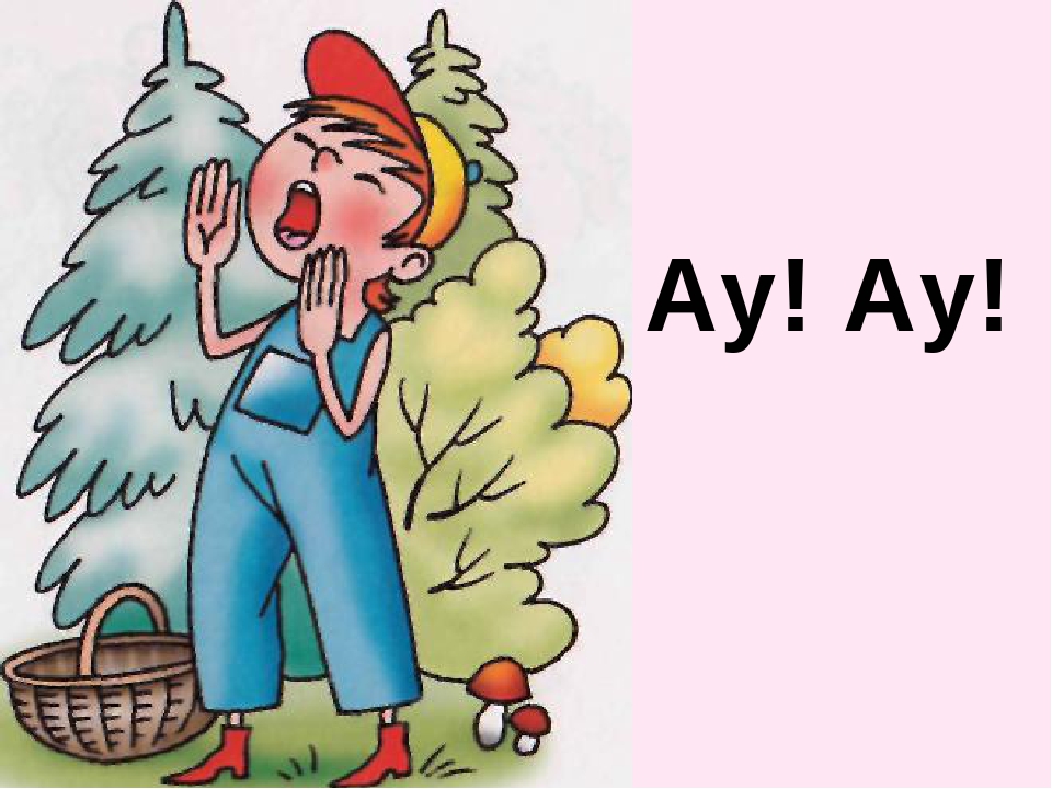 Презентация. Учим буквы. Буква У.
