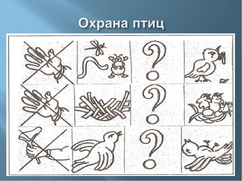 Презентация для НОД "В гости к птицам" в средней группе