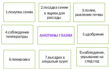 Shape2