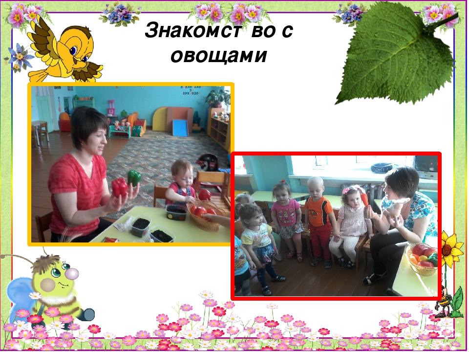 Презентация проекта "Огород на подоконнике"