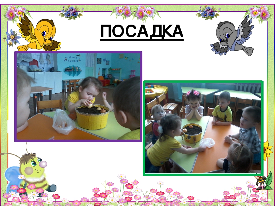 Презентация проекта "Огород на подоконнике"