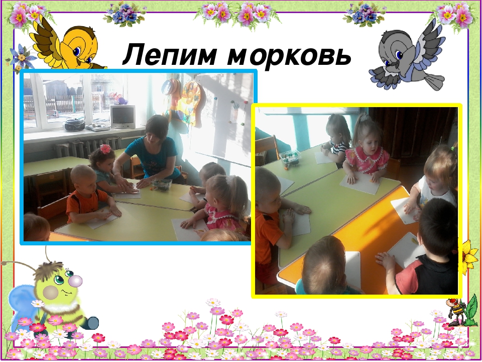 Презентация проекта "Огород на подоконнике"