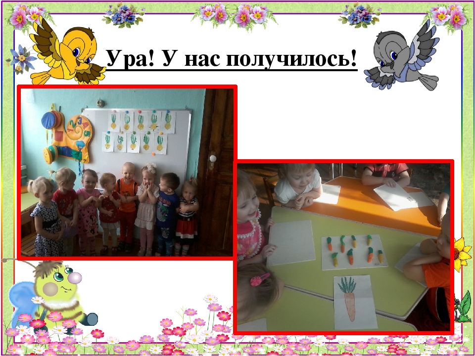 Презентация проекта "Огород на подоконнике"