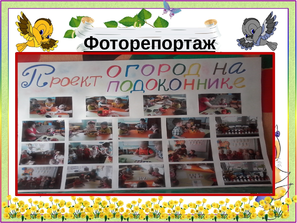 Презентация проекта "Огород на подоконнике"