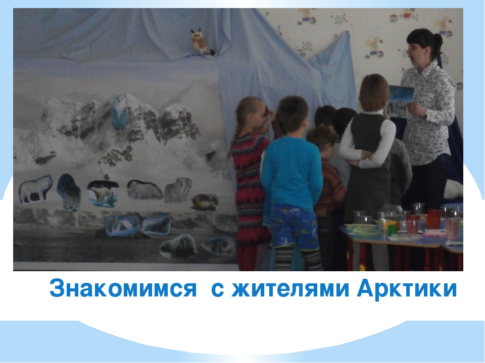Проект " Фотогаллерея Арктика"
