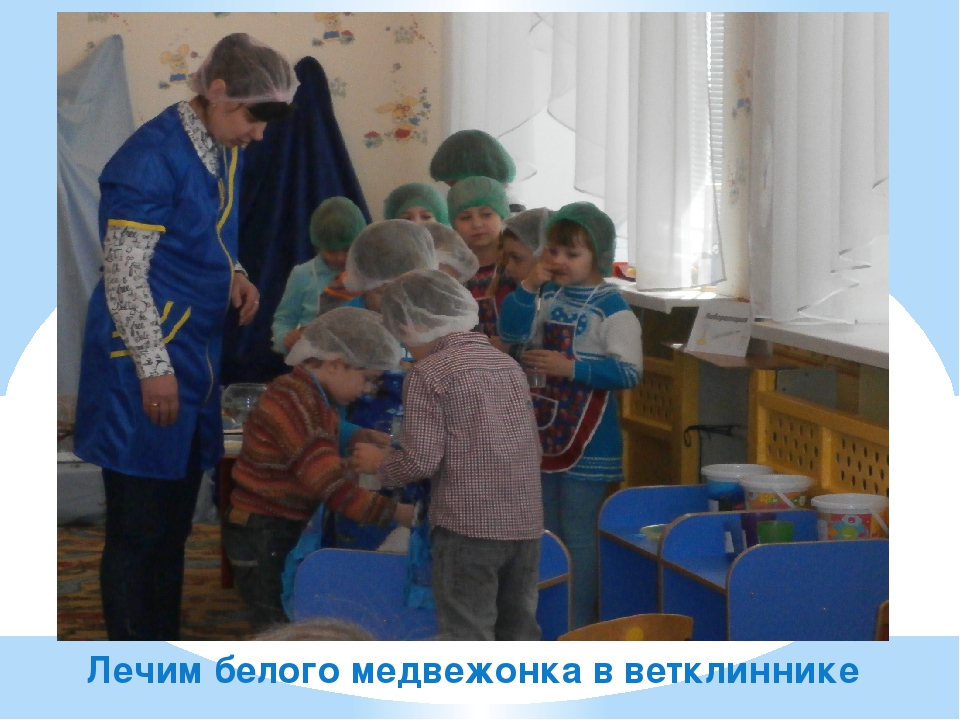 Проект " Фотогаллерея Арктика"
