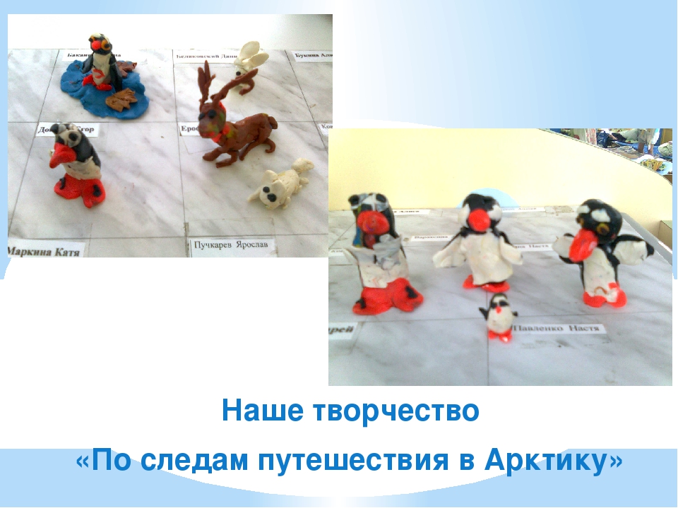 Проект " Фотогаллерея Арктика"