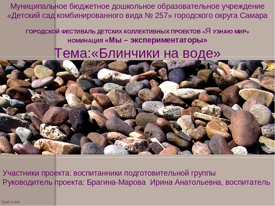 Презентация "Блинчики на воде "