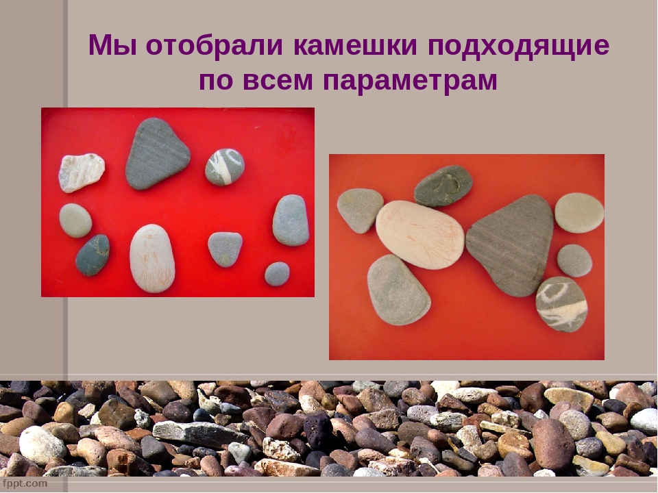 Презентация "Блинчики на воде "