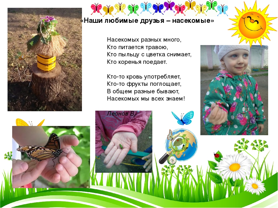 Презентация проекта "Чудеса лета"