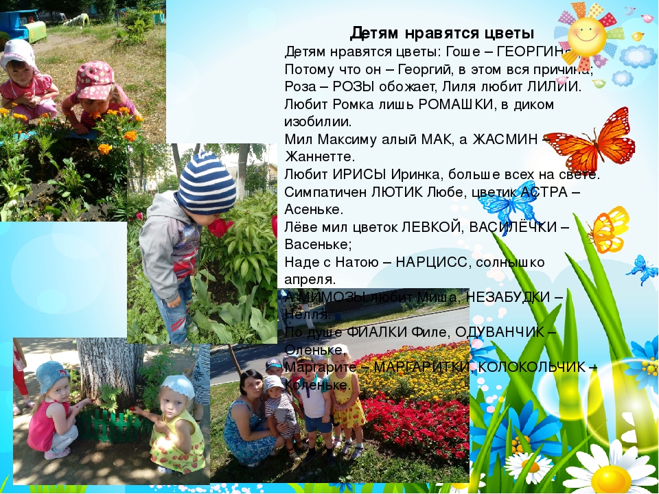 Презентация проекта "Чудеса лета"