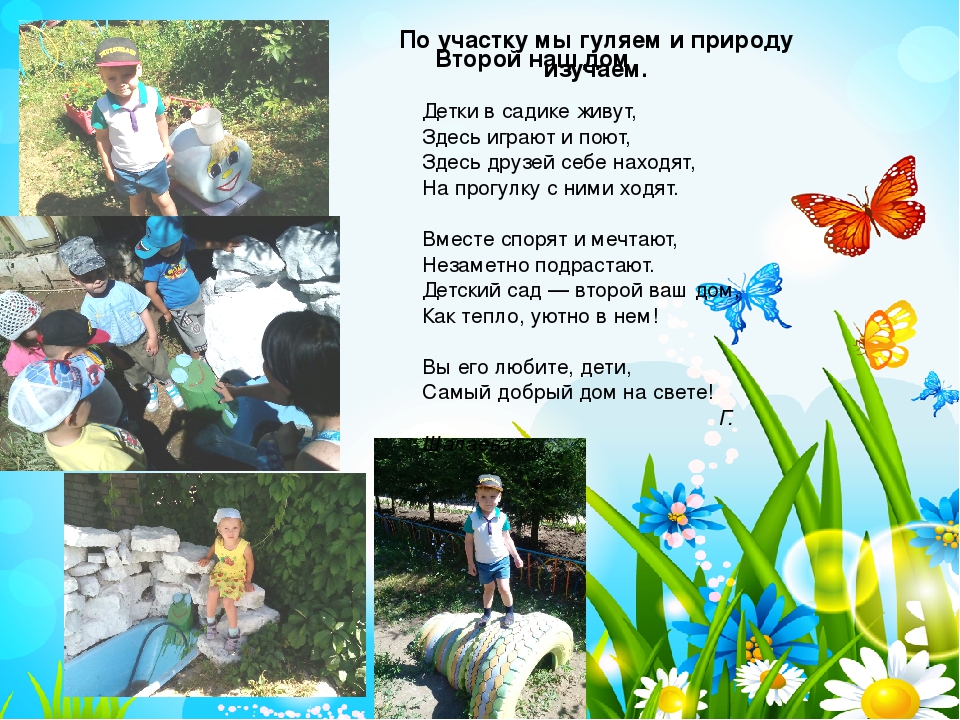 Презентация проекта "Чудеса лета"