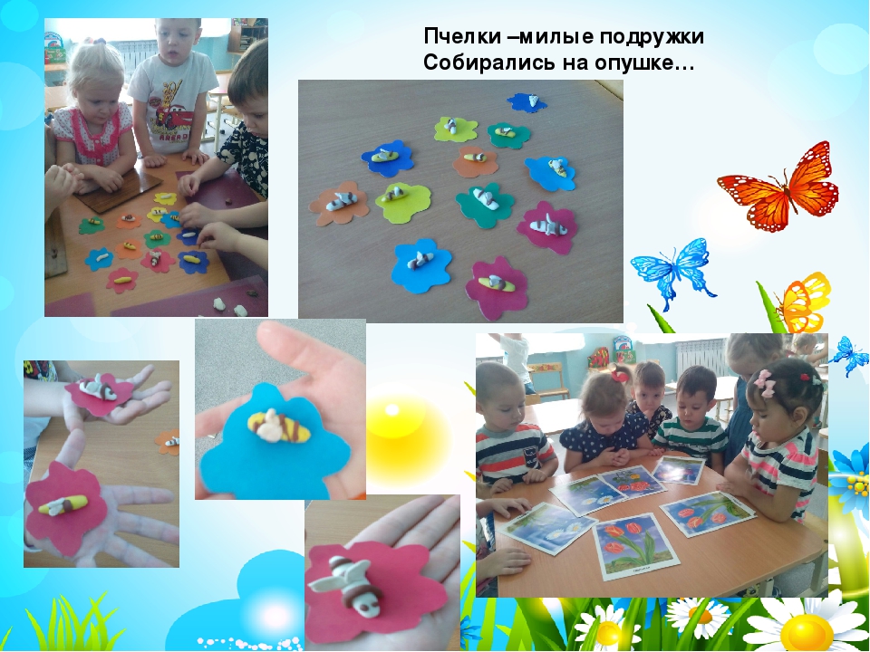 Презентация проекта "Чудеса лета"